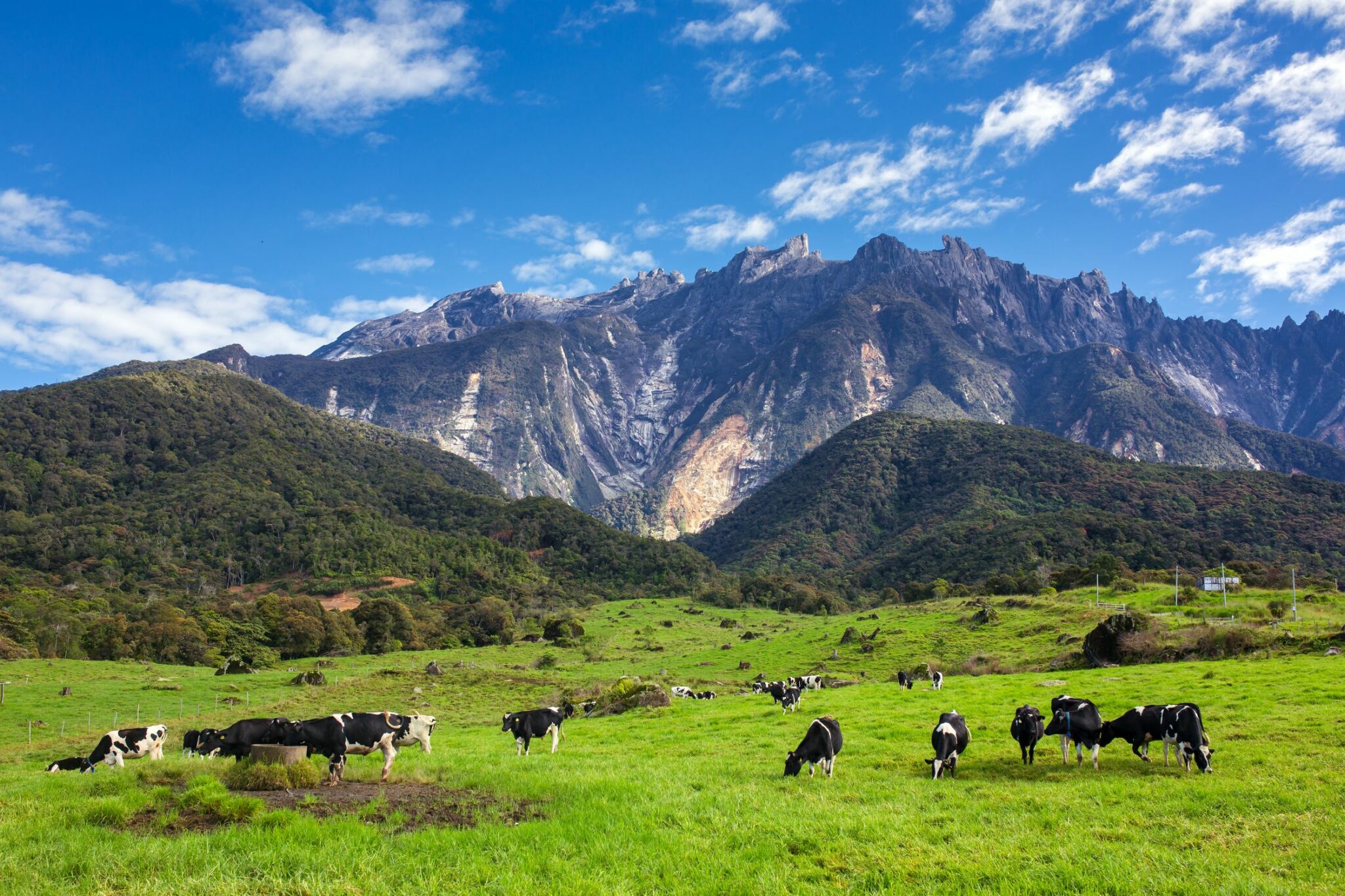 11 Tempat Menarik Di Kundasang Yang Anda Mesti Pergi! » Daeng Travel ...