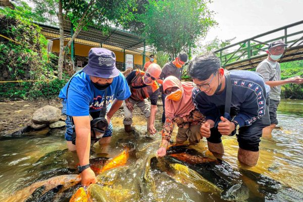 bombom marakau fish spa,salah satu lawatan itinerary pakej day trip kundasang