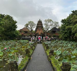 IMG_1232